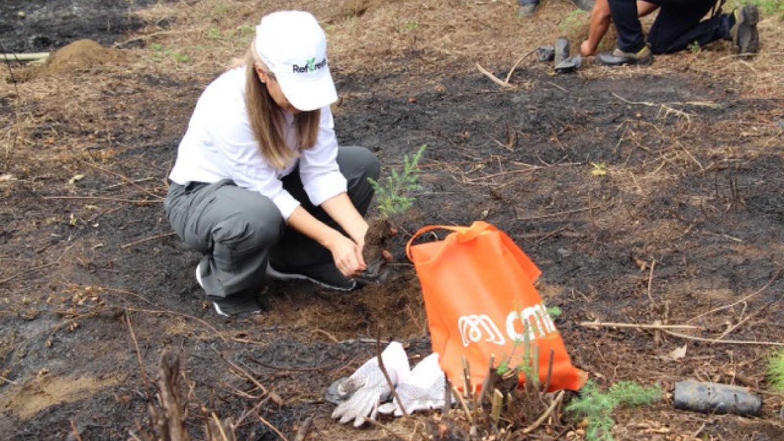 Pradera promueve reforestación en Chimaltenango