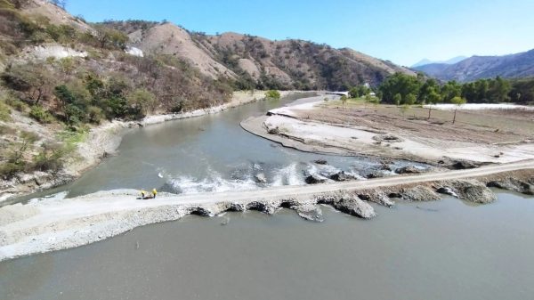 Puente Chitomax