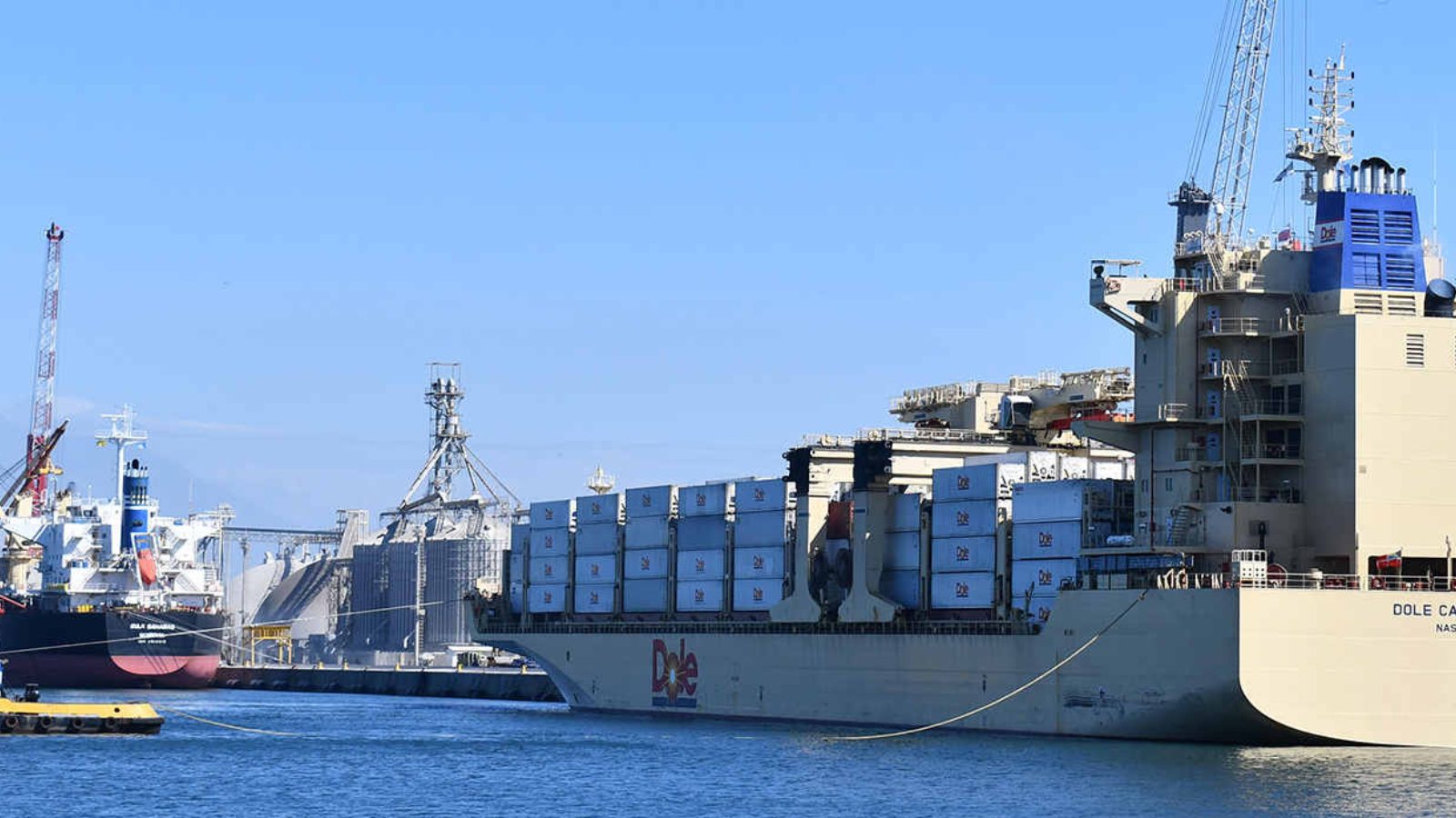 Solo una grúa operativa en Puerto Quetzal retrasa importaciones y genera pérdidas