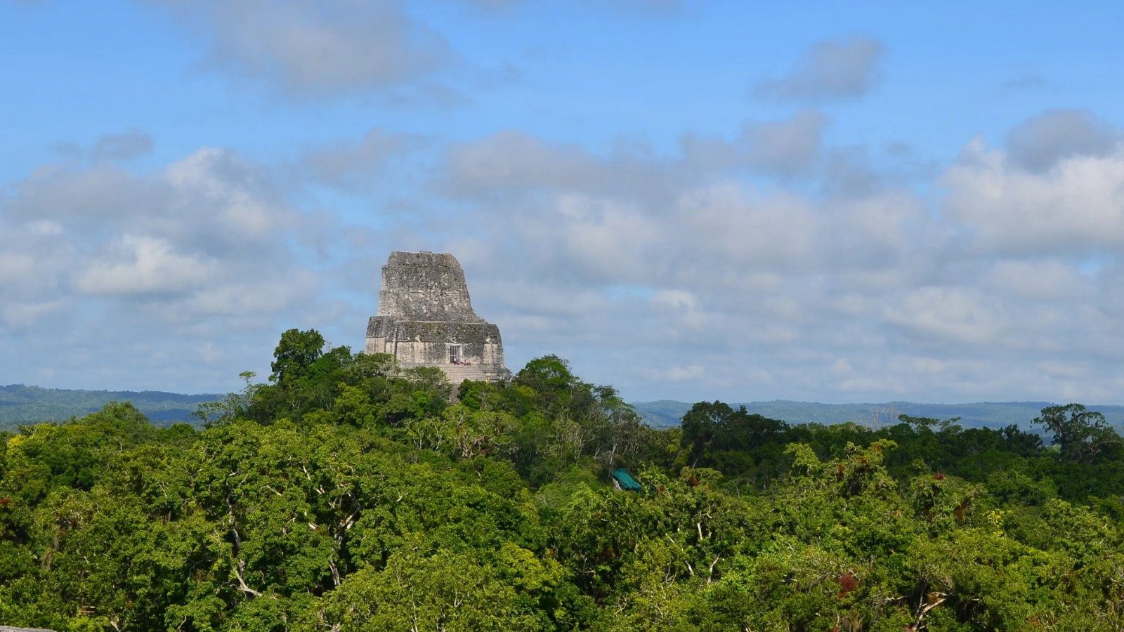 Conap solicita ampliación presupuestaria de Q250 millones para 2025