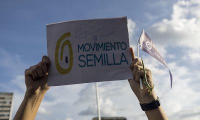 Registro de Ciudadanos del TSE cancela a Semilla por orden judicial