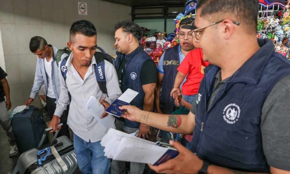 Guatemaltecos viajan a España para trabajar en la recolección de frutos rojos