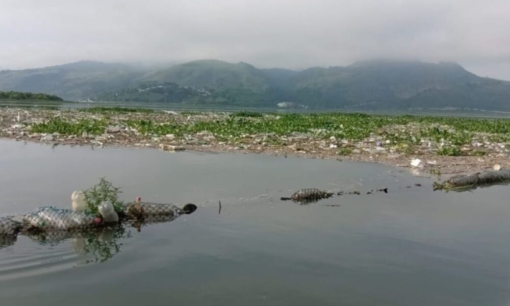 Alerta por toxinas en el Lago de Amatitlán AMSA detecta niveles peligrosos de microcistinas