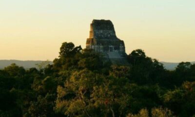 Cierre temporal del Templo IV en Tikal por mantenimiento