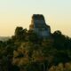 Cierre temporal del Templo IV en Tikal por mantenimiento
