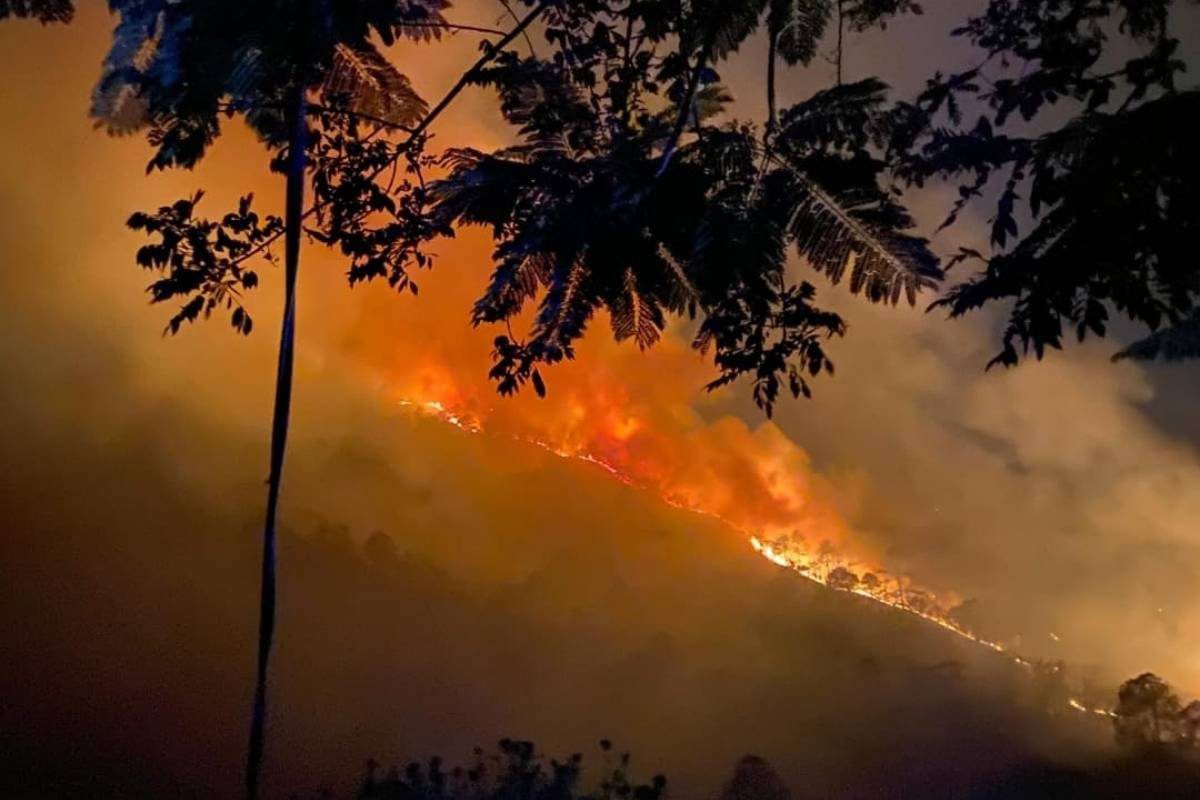 Guatemala pierde 16 mil hectáreas por incendios en 2025, según Conred