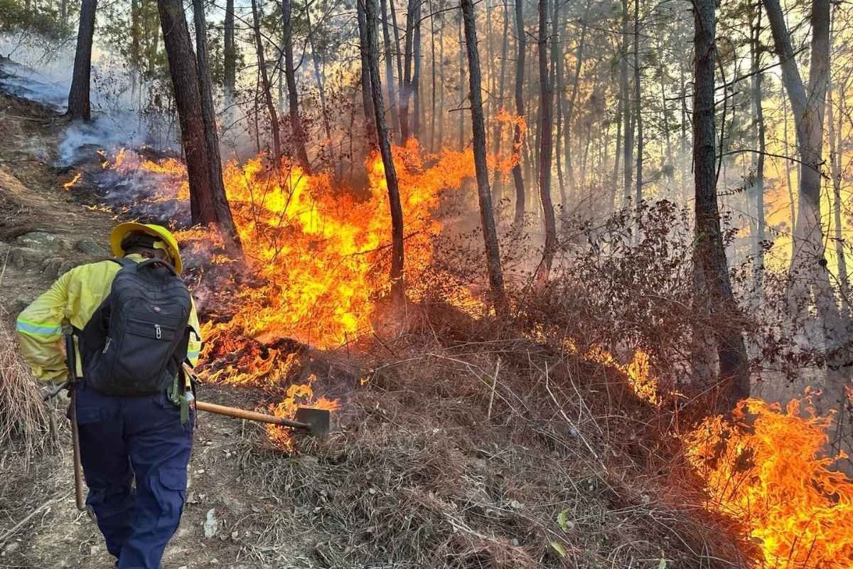 Incendios en Guatemala caen un 60% en 2025 ¿qué factores marcaron la diferencia