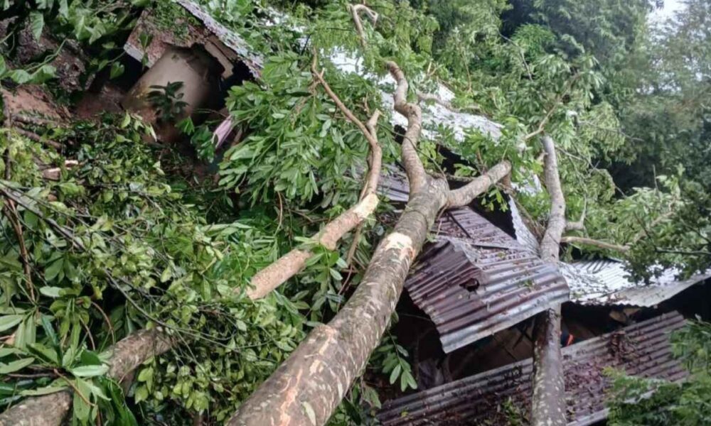 Alta Verapaz sufre inundaciones y deslizamientos tras intensas lluvias