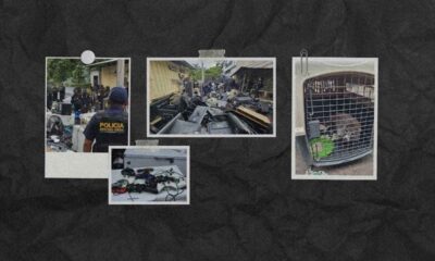 Lujo carcelario incautan electrodomésticos y animales exóticos en El Boquerón