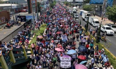 Maestros acampan y exigen cambios protesta suma una semana