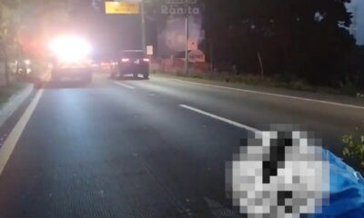 Peatón muere atropellado y colapsa tránsito en ruta Interamericana