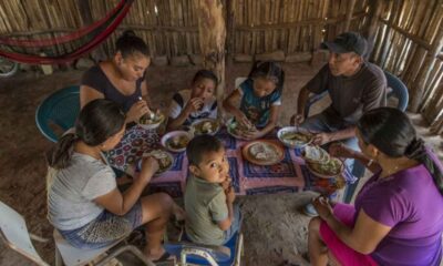 Desnutrición infantil cobra 19 vidas en Guatemala y solo hay 77 brigadas para más de 14 mil casos