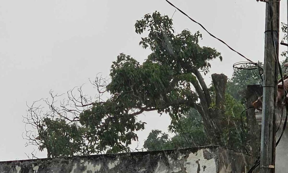 Lluvias con tormenta y neblina marcarán el inicio de semana en gran parte del país