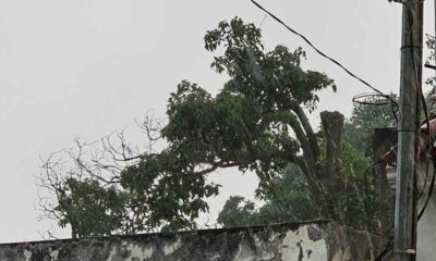 Lluvias con tormenta y neblina marcarán el inicio de semana en gran parte del país