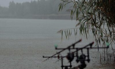 Lluvias y tormentas eléctricas regresan tras la canícula, advierte Insivumeh