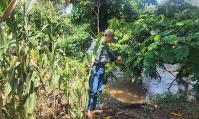 MAGA intensifica vigilancia por daños en cultivos ante lluvias en 13 departamentos