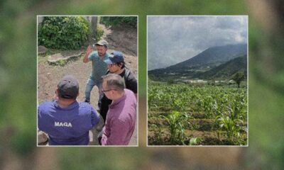 MAGA verifica daños agrícolas tras sismos en Sacatepéquez