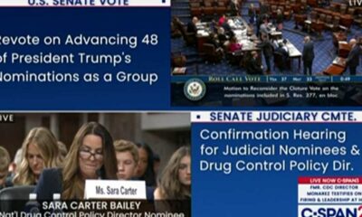 Sara Carter promete acción contundente contra los cárteles