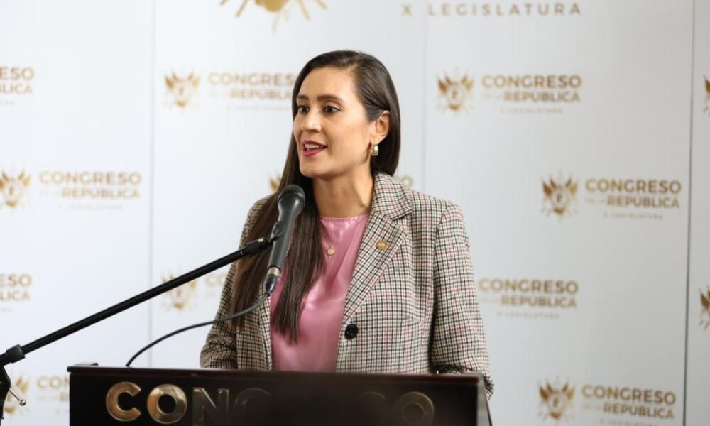 Diputada anuncia acciones legales contra reformas ambientales