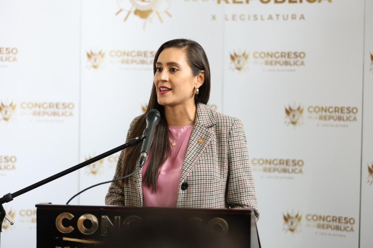 Diputada anuncia acciones legales contra reformas ambientales
