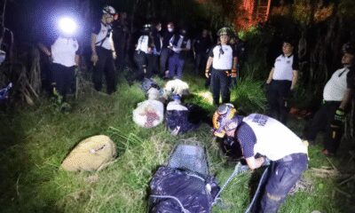 Nueve cuerpos hallados en Palencia revelan un patrón de violencia extrema: autoridades investigan posible vínculo con pandillas