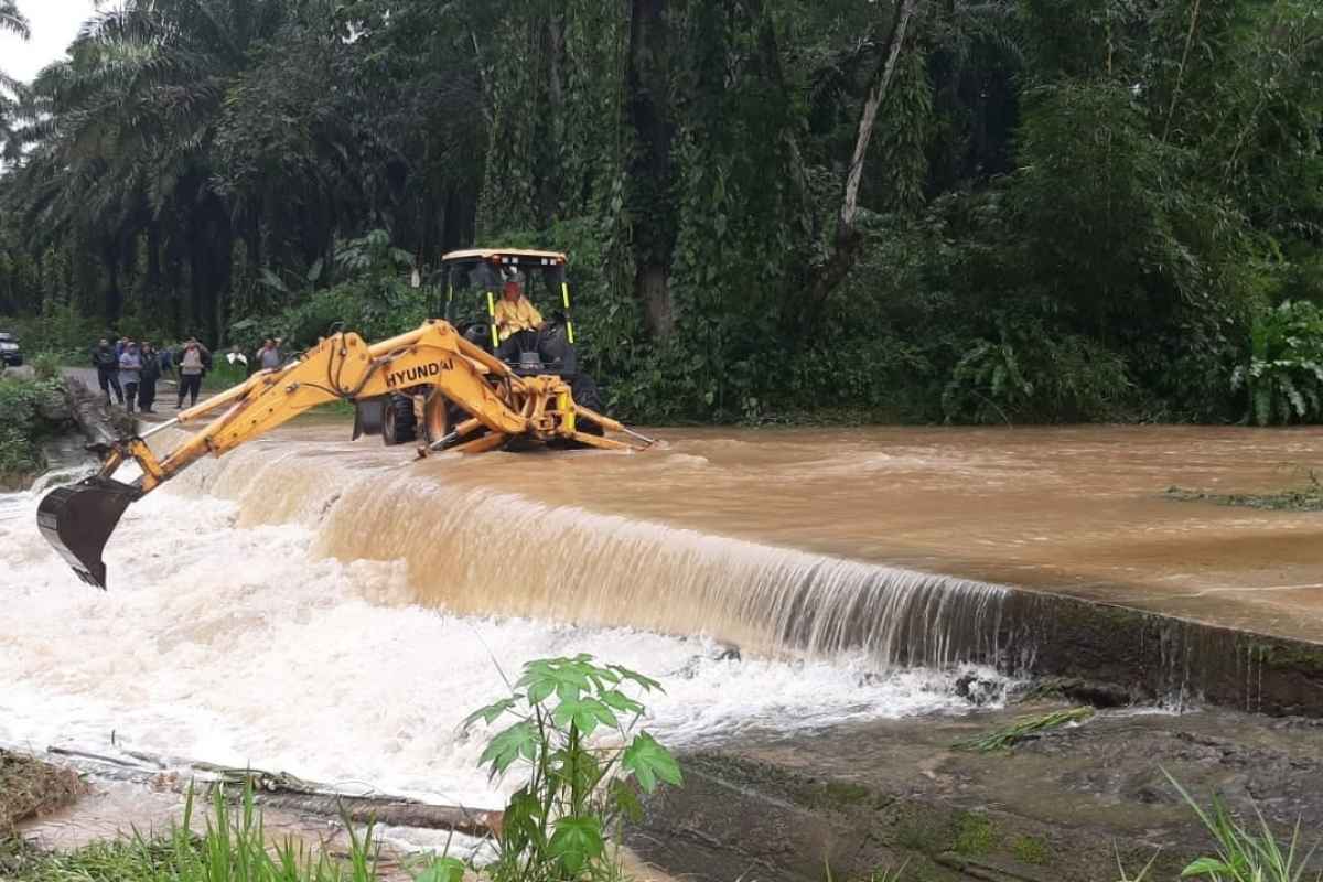 Usurpaciones de tierras 13 mil denuncias y mínima respuesta estatal