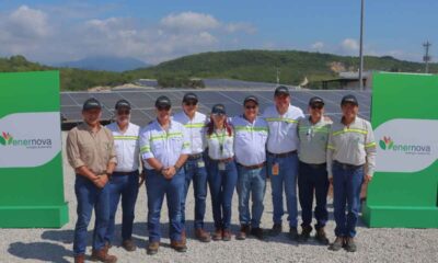 Progreso pone en operación dos parques solares para fortalecer su eficiencia energética