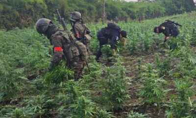 Decomisan armamento de alto poder y droga en operativo realizado en Petén