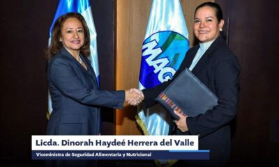 Dinorah Herrera asume viceministerio en el MAGA y dirigirá la política de seguridad alimentaria