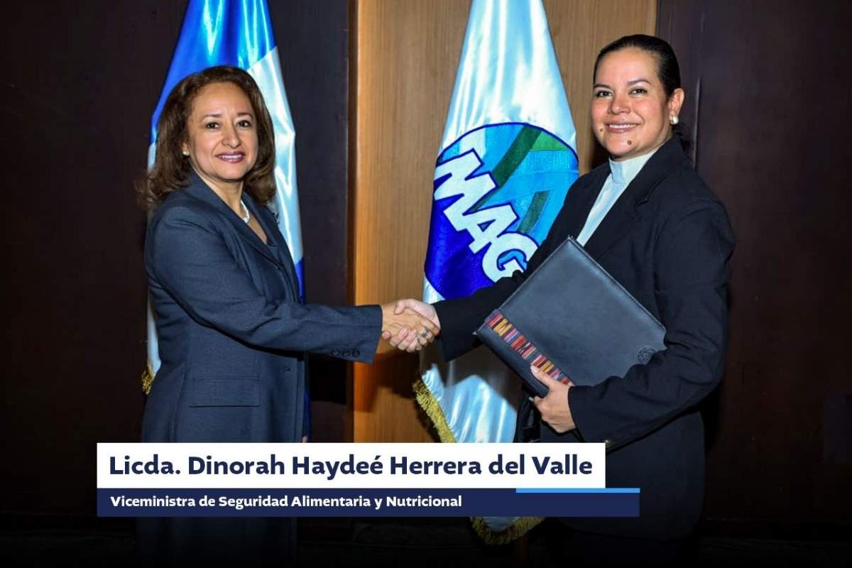 Dinorah Herrera asume viceministerio en el MAGA y dirigirá la política de seguridad alimentaria
