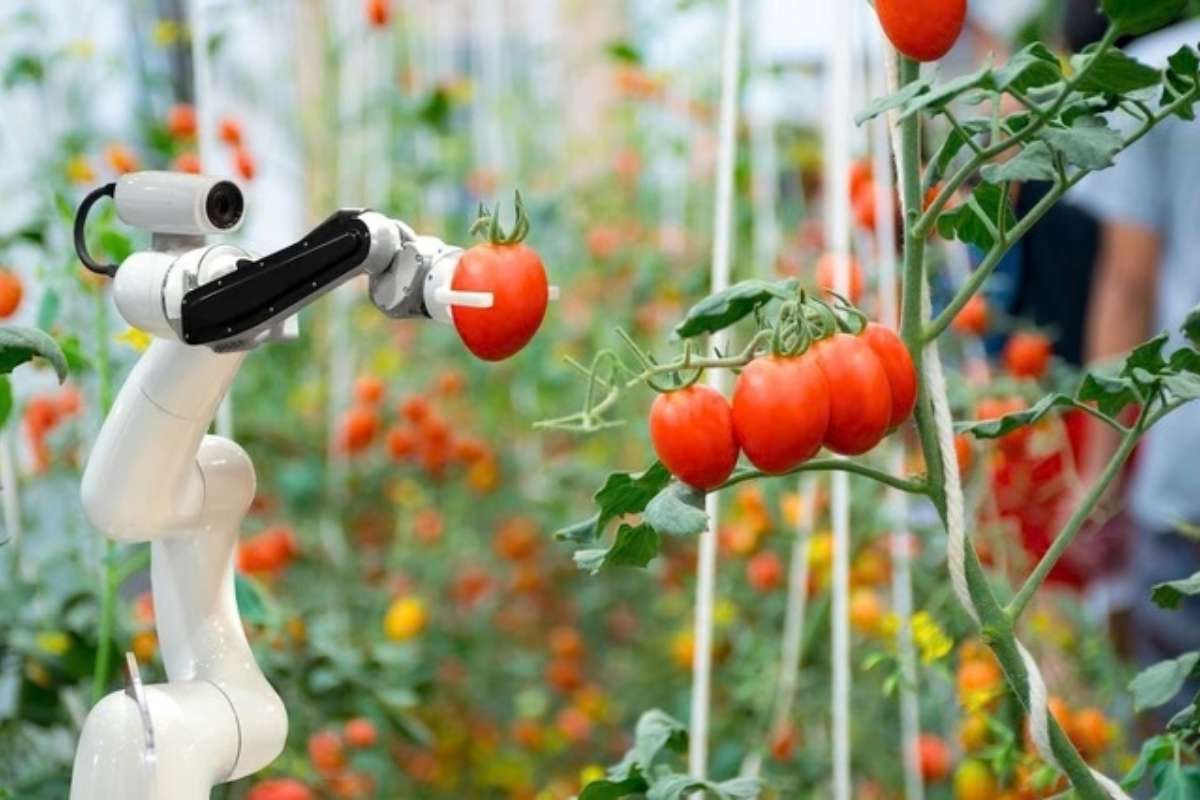 SAP y Syngenta sellan acuerdo para impulsar la agricultura con inteligencia artificial