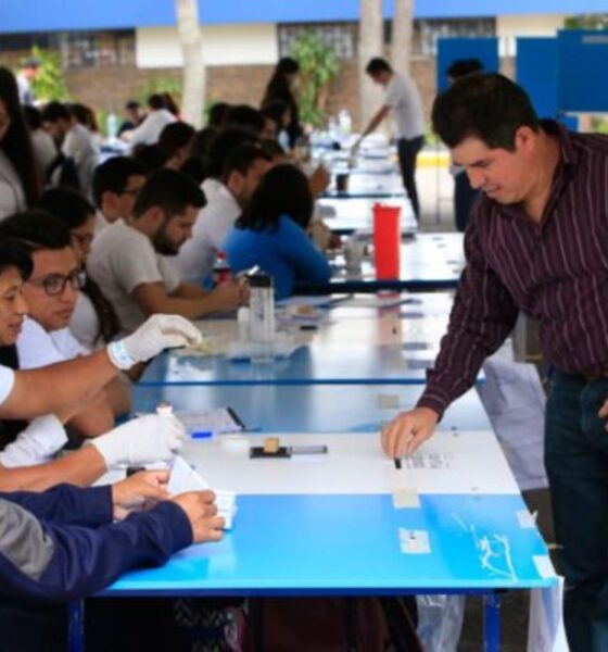 TSE evalúa más de 2,500 escuelas como centros de votación para elecciones 2027