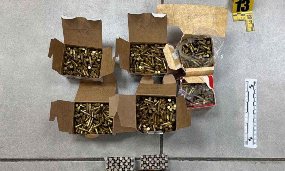 Arsenal ilegal en contenedor decomiso en Puerto Barrios