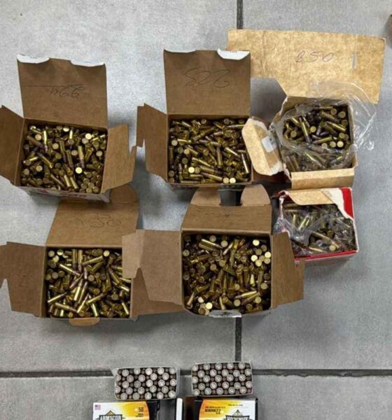 Arsenal ilegal en contenedor decomiso en Puerto Barrios