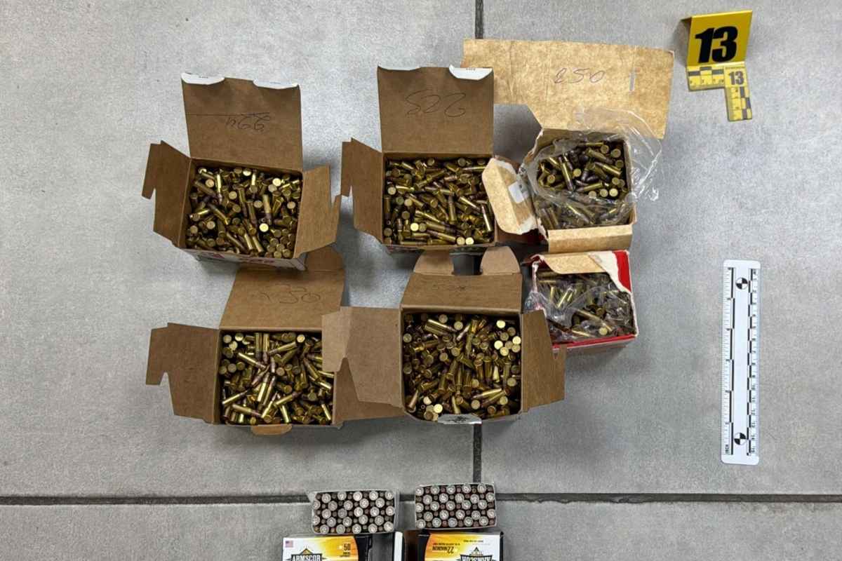 Arsenal ilegal en contenedor decomiso en Puerto Barrios