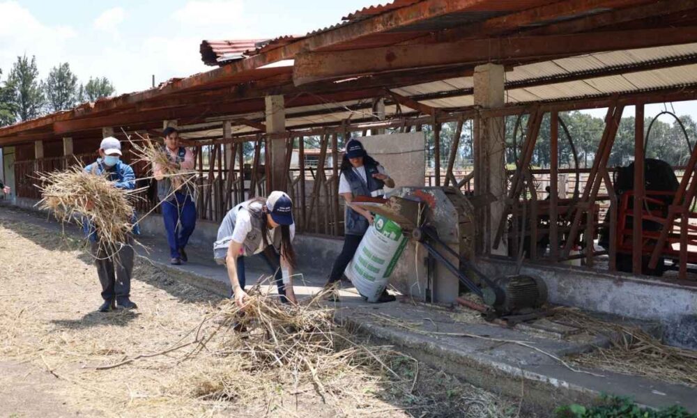 Inspección en veterinaria de la Usac revela fallas en manejo de animales y urgencia de mejoras