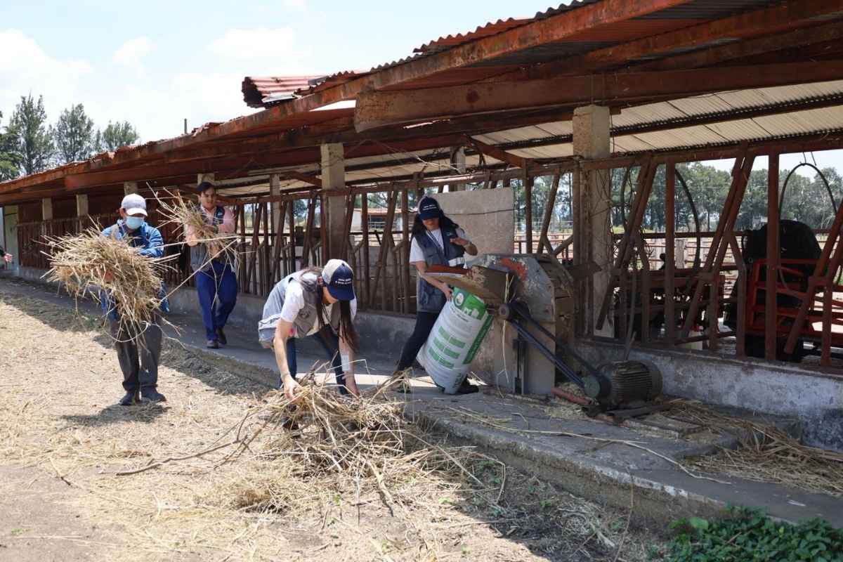 Inspección en veterinaria de la Usac revela fallas en manejo de animales y urgencia de mejoras