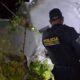 Accidente de avioneta en Barillas activa investigación de la Dirección General de Aeronáutica Civi