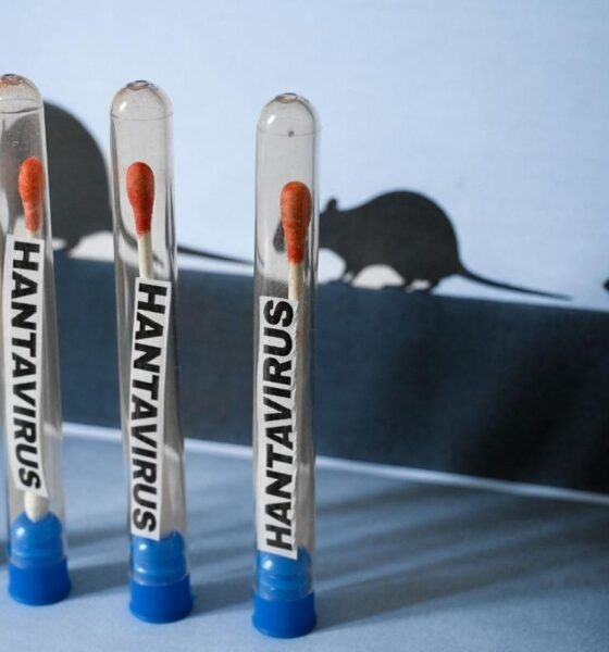 Guatemala sin casos de hantavirus