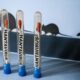 Guatemala sin casos de hantavirus