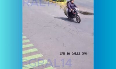 Roban bonsái de 50 años y cámaras revelan ruta de fuga en zona 13