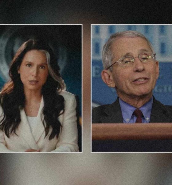 Gabbard acusa a Fauci de engañar al Congreso mientras nuevos documentos exponen fondos estadounidenses para investigaciones en Wuhan
