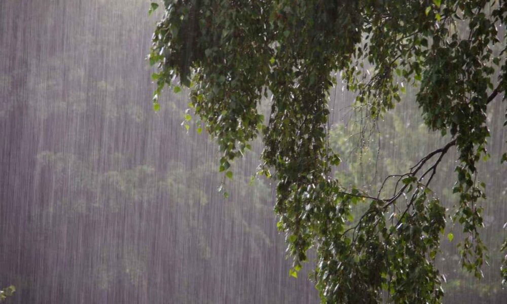 Guatemala bajo alerta por lluvias Insivumeh prevé tormentas y riesgo de inundaciones este miércoles