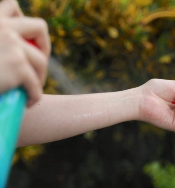 IGSS alerta sobre el dengue en temporada de lluvias y pide eliminar criaderos de zancudos