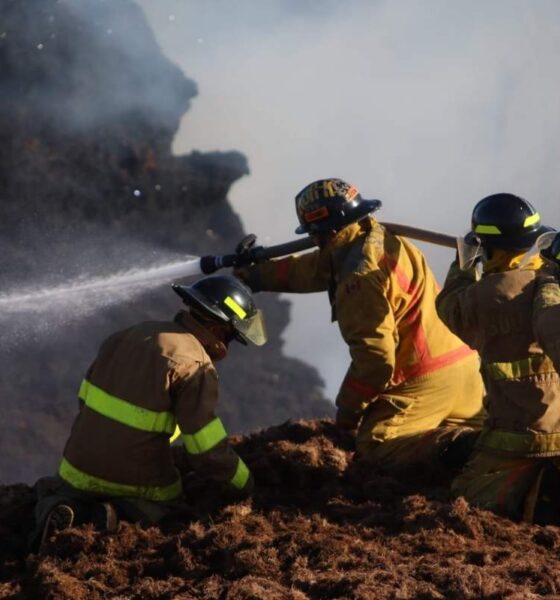 Incendio en aserradero de Zacapa deja severos daños tras más de 10 horas de combate