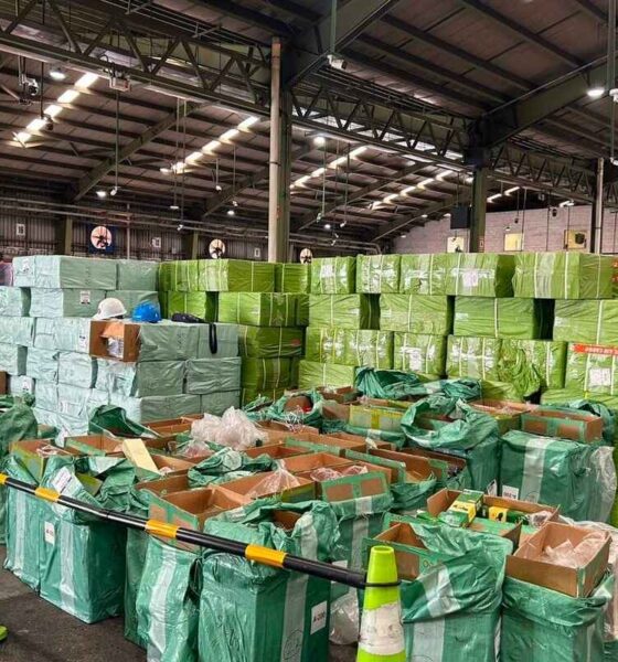 SAT frena ingreso irregular de más de 30 millones de cigarrillos en Puerto Quetzal y detecta evasión fiscal millonaria