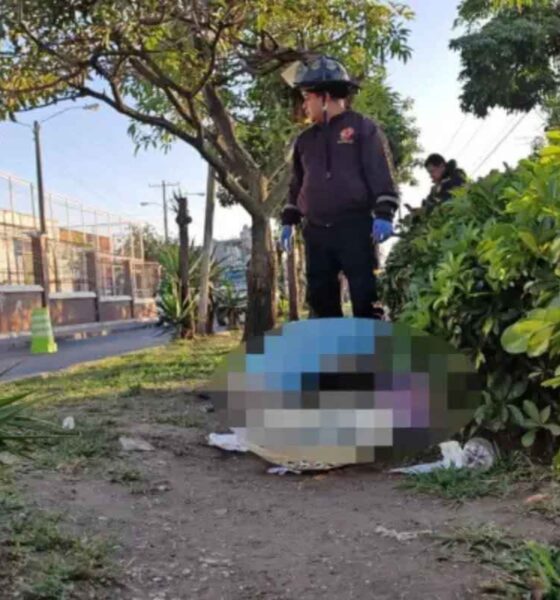 Cuatro hallazgos de cuerpos en menos de 24 horas alarman en Guatemala