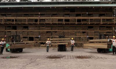 Ecomadera liderazgo en maderas tratadas, celosías y soluciones sostenibles de madera en Guatemala