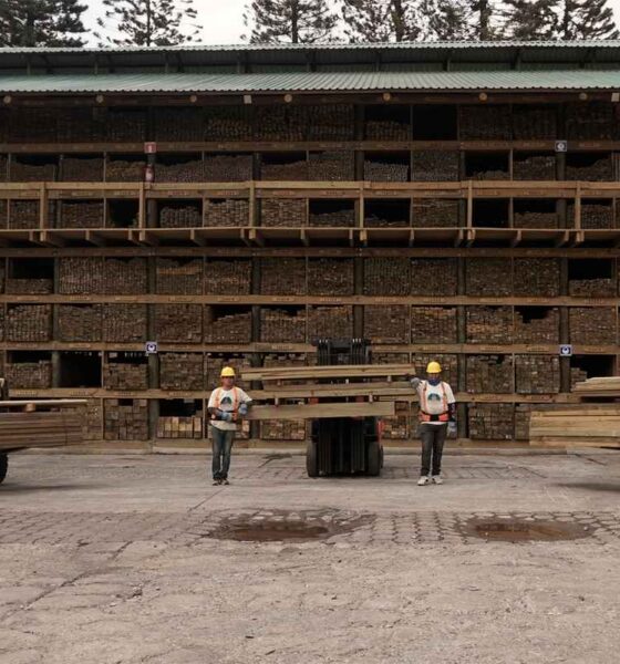 Ecomadera liderazgo en maderas tratadas, celosías y soluciones sostenibles de madera en Guatemala