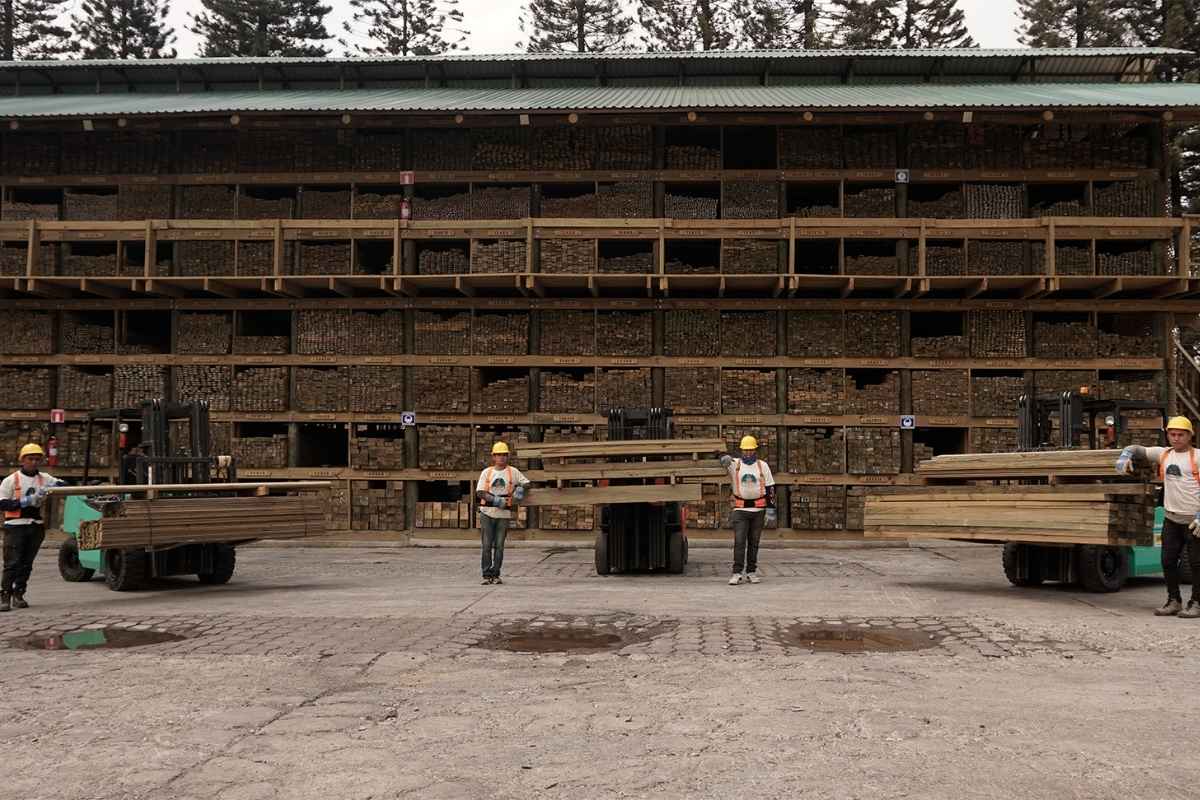 Ecomadera liderazgo en maderas tratadas, celosías y soluciones sostenibles de madera en Guatemala